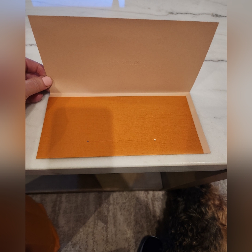 Louis Vuitton Orange Envelope - Picture 2 of 4